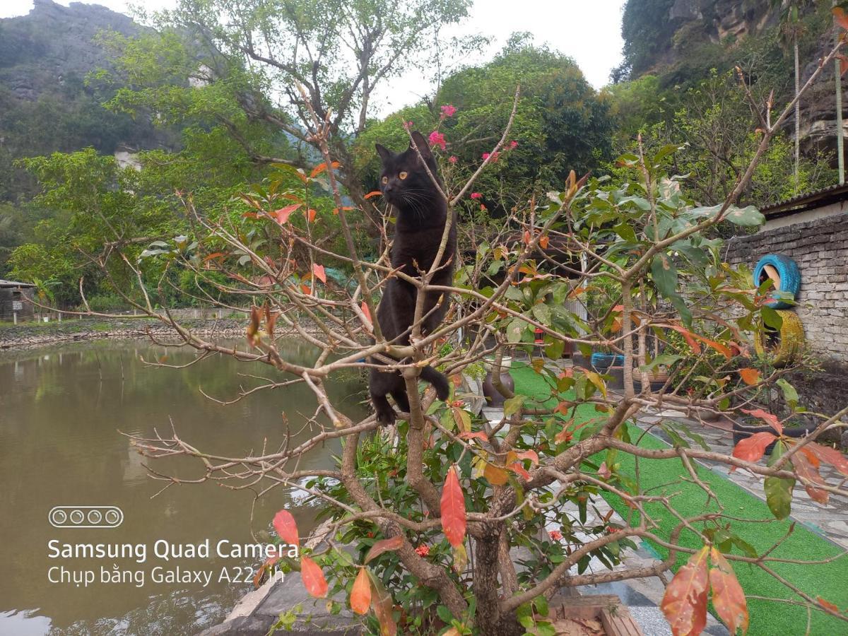 Trang An Pristine View Homestay نينه بينه المظهر الخارجي الصورة