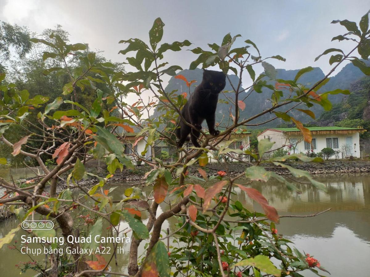 Trang An Pristine View Homestay نينه بينه المظهر الخارجي الصورة