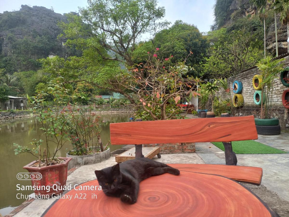 Trang An Pristine View Homestay نينه بينه المظهر الخارجي الصورة